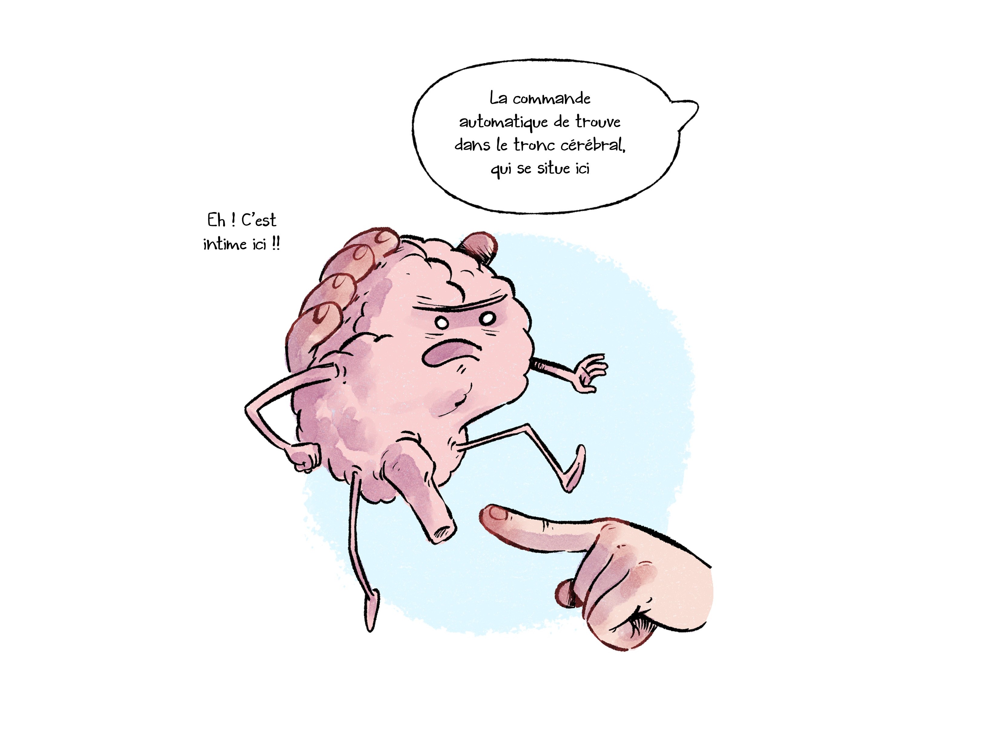 La Double Commande — page 14