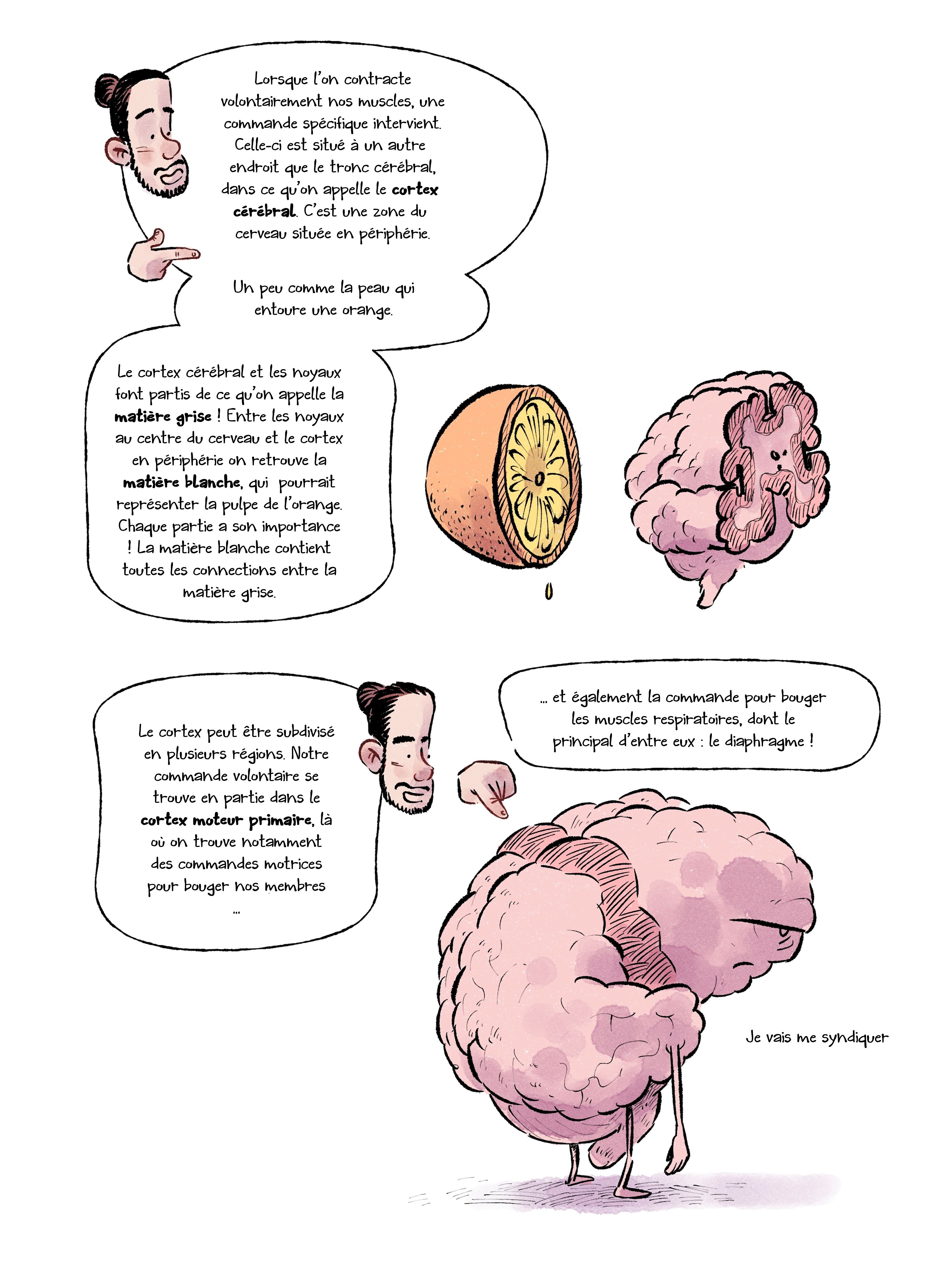 La Double Commande — page 24